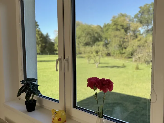 Pohled z okna na trávník a stromy v zahradě